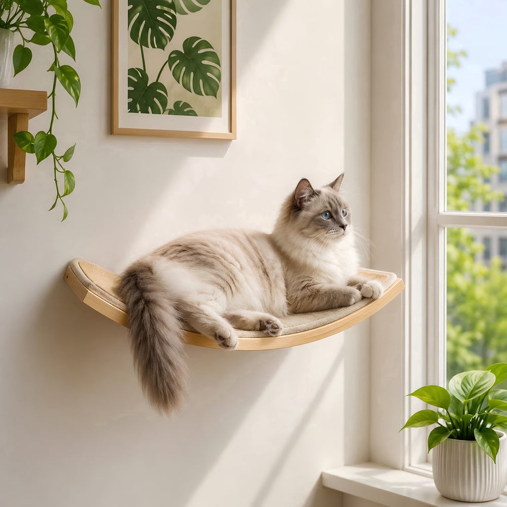 Curved Wood Cat Wall Perch – Wall-Mounted Floating Indoor Platform with Sisal Mat (Sleeper & Climb Shelf)
