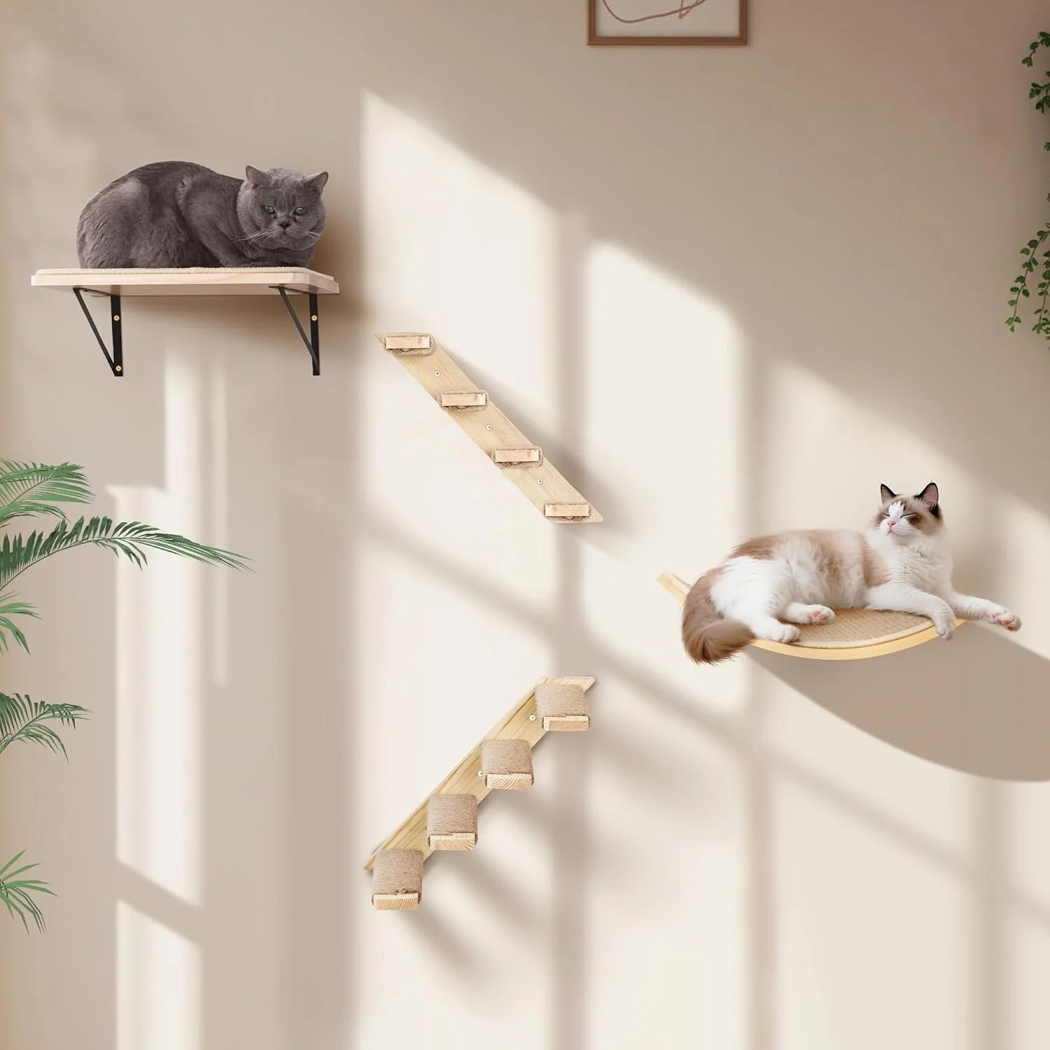 Curved Wood Cat Wall Perch – Wall-Mounted Floating Indoor Platform with Sisal Mat (Sleeper & Climb Shelf)